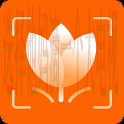 AB体育APP官网下载入口 AB体育APP官网下载入口