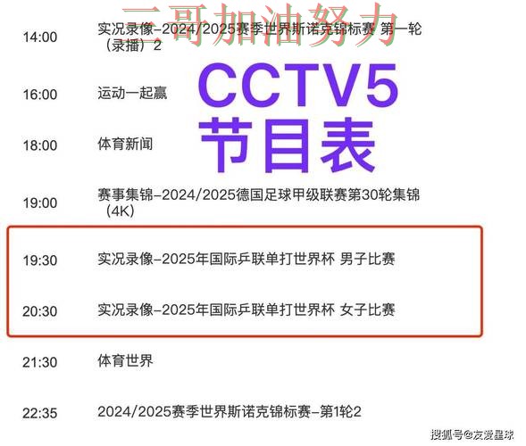世界杯全球总决赛背景下的世界杯买球平台解析与玩法指南直播解析